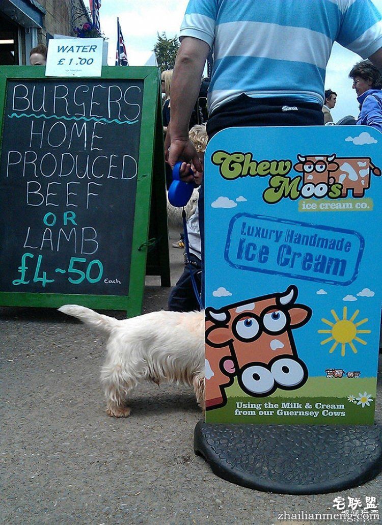 所谓的天时地利人和,说的就是这些照片