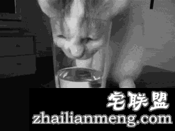 这些让人深信不疑的事情,竟然都是错的…