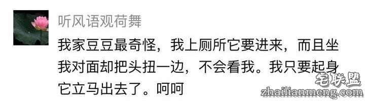 每个养哈士奇的主人，内心都住着一个喜剧之王