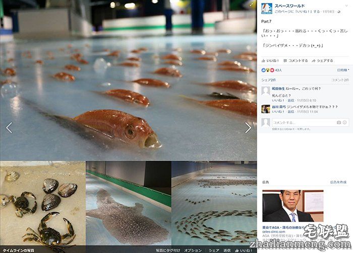 日本游乐园在熘冰场「埋5000隻死鱼」称世界首见,但恐怖血水画面让网友崩溃喊:「脑残吗?!」