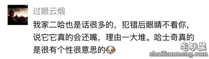 每个养哈士奇的主人，内心都住着一个喜剧之王