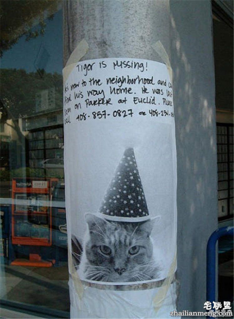 这些外国人太会玩,连找宠物的方式都这么奇特