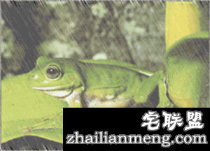 这些让人深信不疑的事情,竟然都是错的…