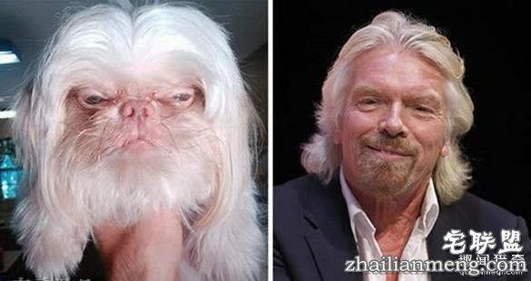 搞笑趣图:他们长得这么像, 真的不是故意的!