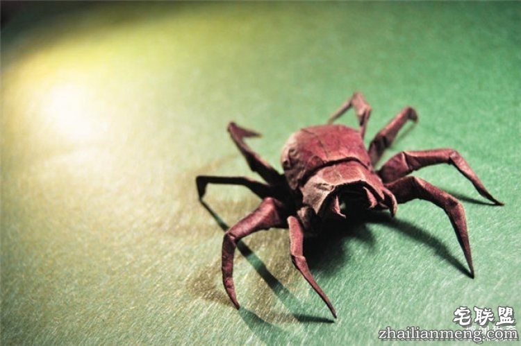 西班牙帅哥音乐家爱折纸,还折出了一个新高度