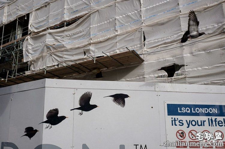 所谓的天时地利人和,说的就是这些照片