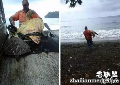 这20张照片, 证明生活还是很美好的!