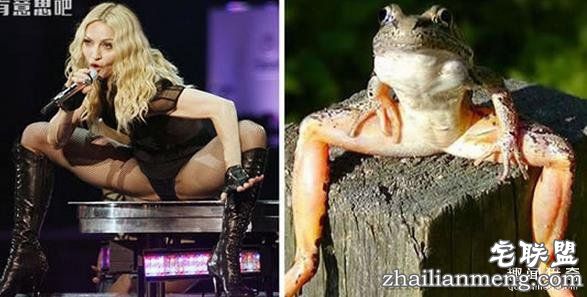 搞笑趣图:他们长得这么像, 真的不是故意的!