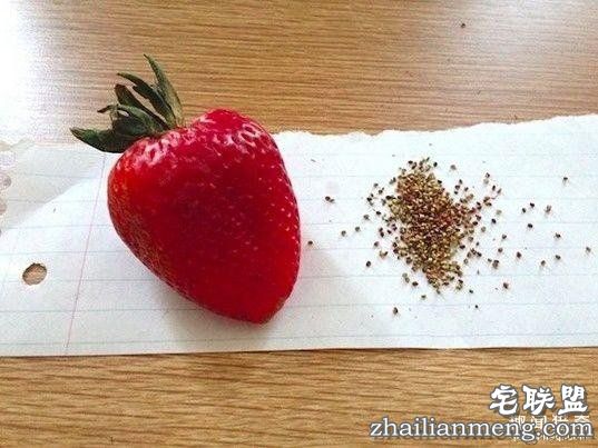 搞笑内涵的段子,你看懂了几个?