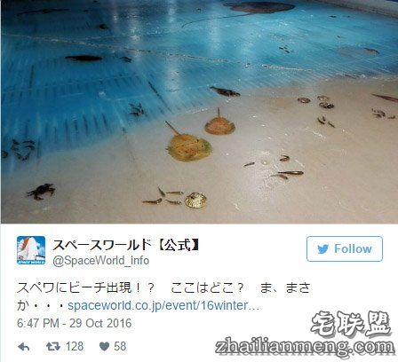 日本游乐园在熘冰场「埋5000隻死鱼」称世界首见,但恐怖血水画面让网友崩溃喊:「脑残吗?!」