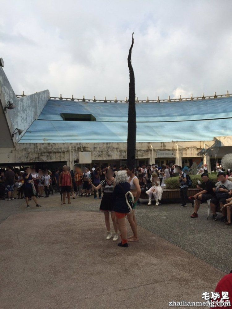 哥们你火了,这头发高的,简直要上天!