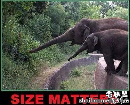 这是一个千古难题:大小尺寸到底重不重要?