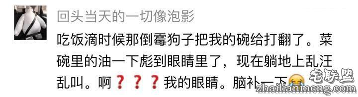 每个养哈士奇的主人，内心都住着一个喜剧之王