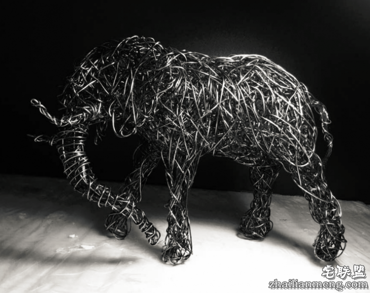 CandiceBees让你惊呆的动物雕塑!