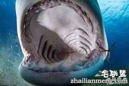 地球上最倒霉的10个人,瞬间觉得自己好幸运!