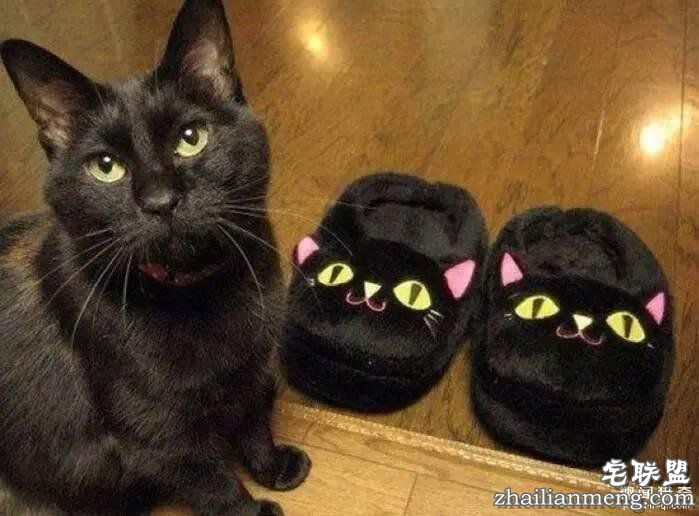 照片神吐槽,看着看着就笑了!