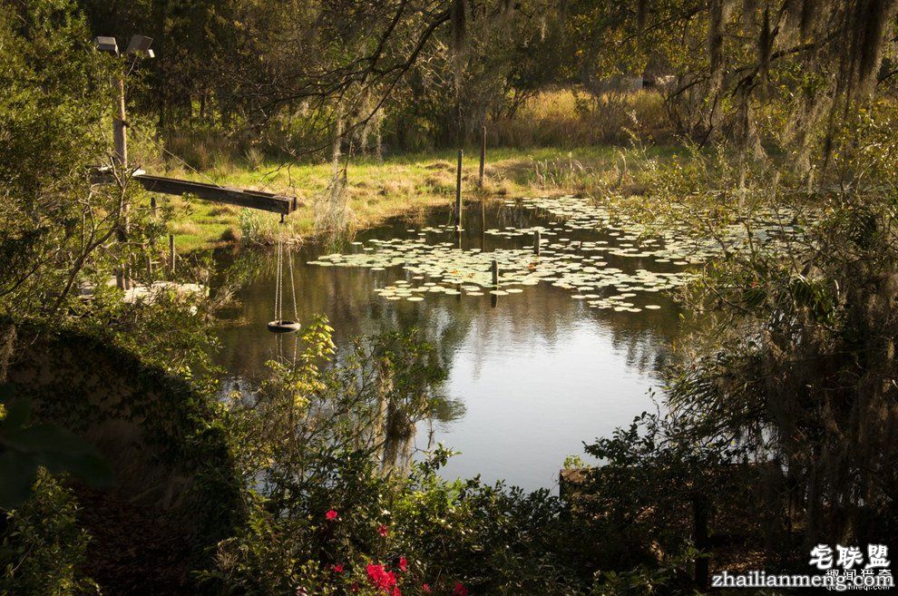 迪士尼水上乐园应该是个很欢乐的地方,但这座已荒废11年的诡异史前丛林园地让人都不敢靠近...