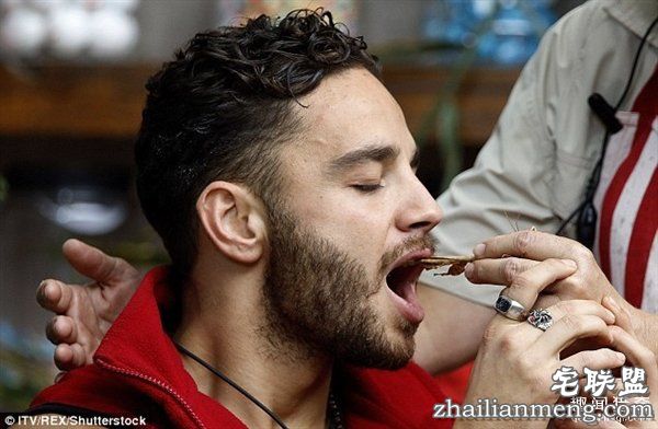 重口味网红:真人秀口含蜘蛛蟑螂