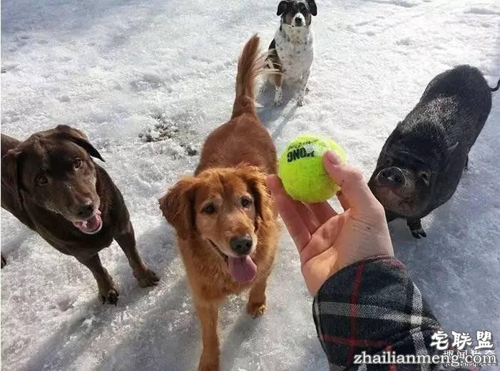 照片神吐槽,看着看着就笑了!