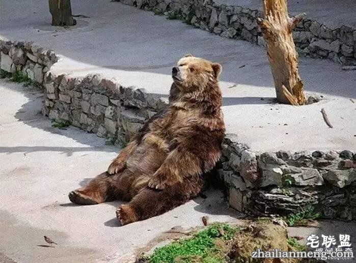 照片神吐槽,看着看着就笑了!