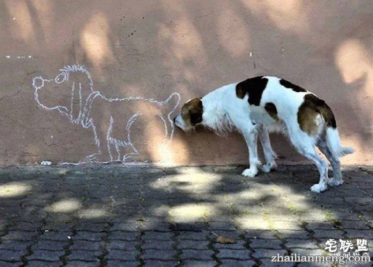 所谓的天时地利人和,说的就是这些照片