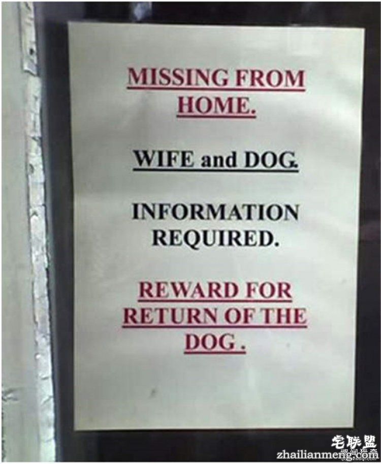 这些外国人太会玩,连找宠物的方式都这么奇特