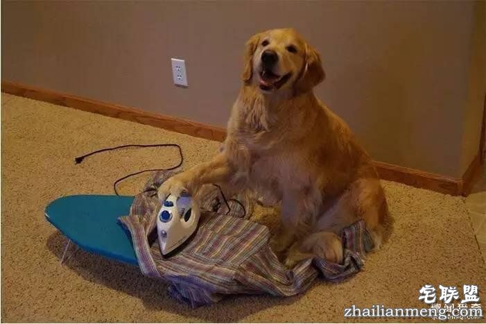 照片神吐槽,看着看着就笑了!