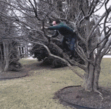 看到你装逼失败,我真的好心疼