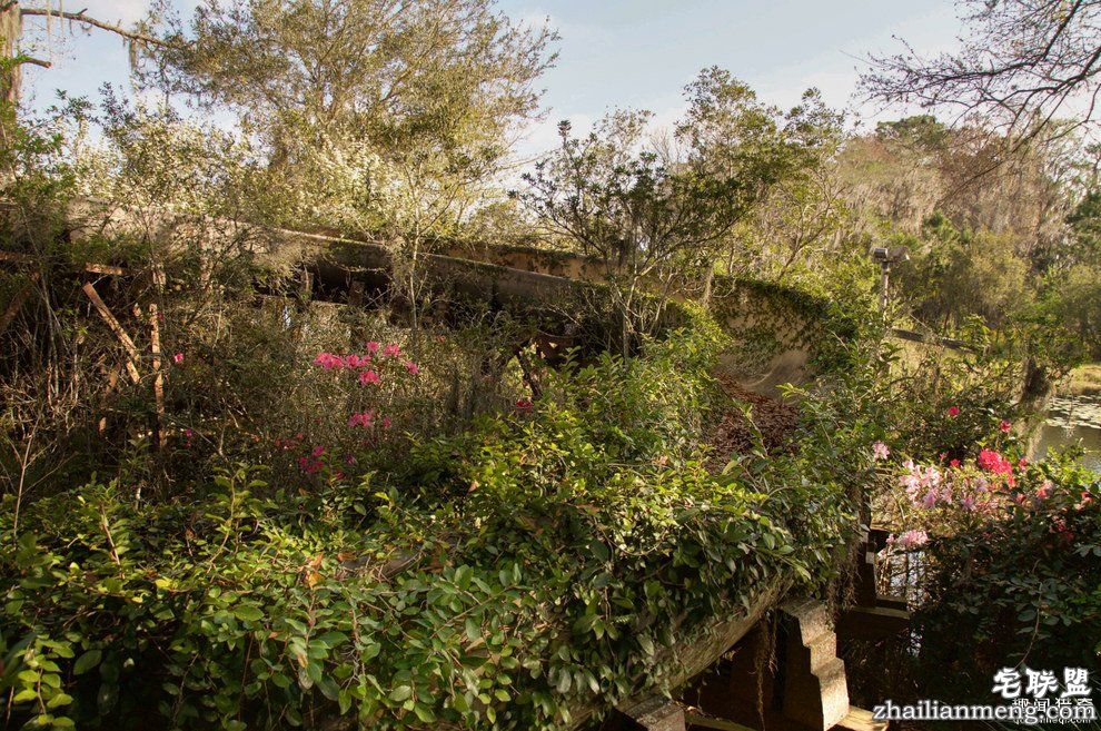 迪士尼水上乐园应该是个很欢乐的地方,但这座已荒废11年的诡异史前丛林园地让人都不敢靠近...