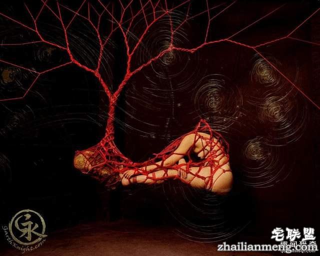 捆绑艺术家用绳索绑出超美一幅画