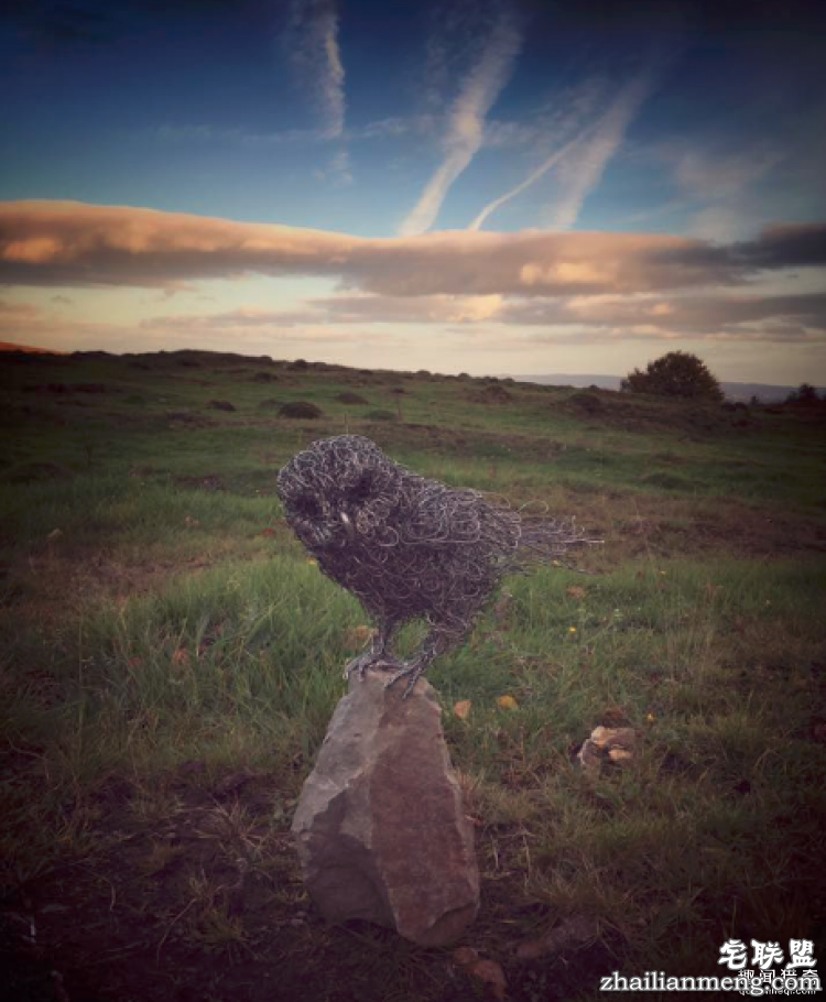 CandiceBees让你惊呆的动物雕塑!