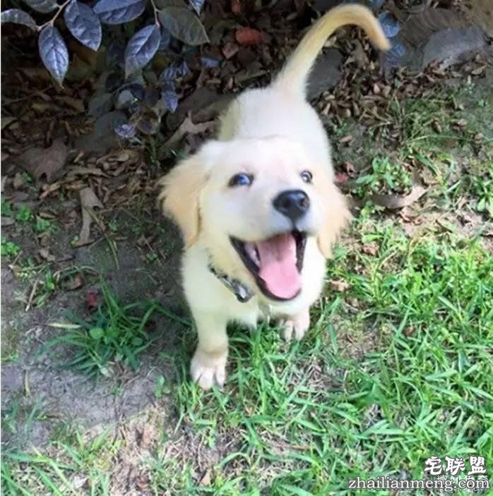 照片神吐槽,看着看着就笑了!