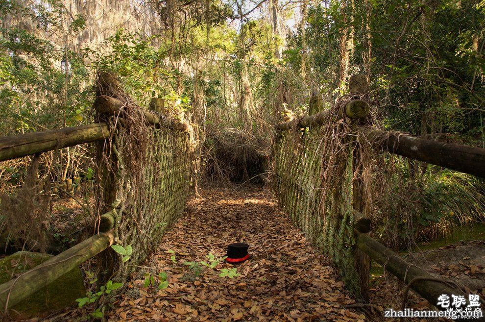 迪士尼水上乐园应该是个很欢乐的地方,但这座已荒废11年的诡异史前丛林园地让人都不敢靠近...