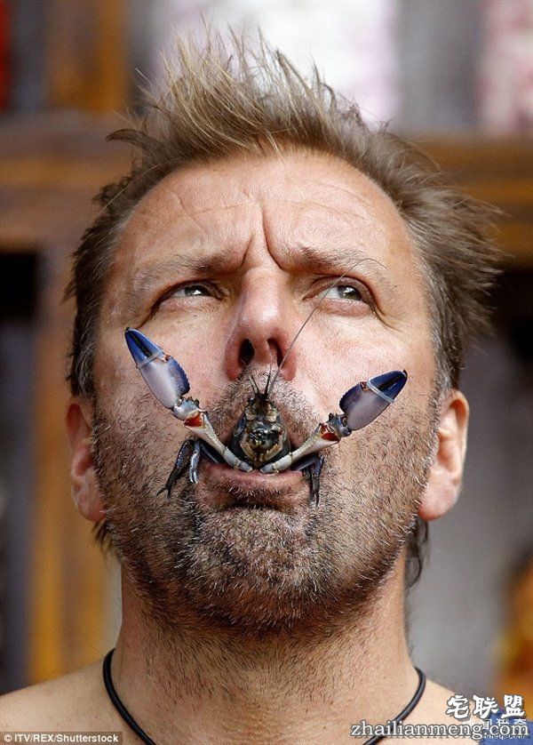 重口味网红:真人秀口含蜘蛛蟑螂