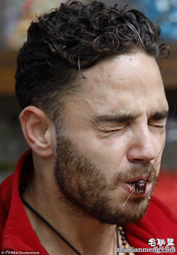 重口味网红:真人秀口含蜘蛛蟑螂