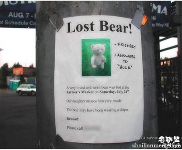 这些外国人太会玩,连找宠物的方式都这么奇特