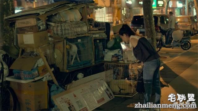 他离开家睡在街头,靠捡垃圾救了3000多条流浪狗