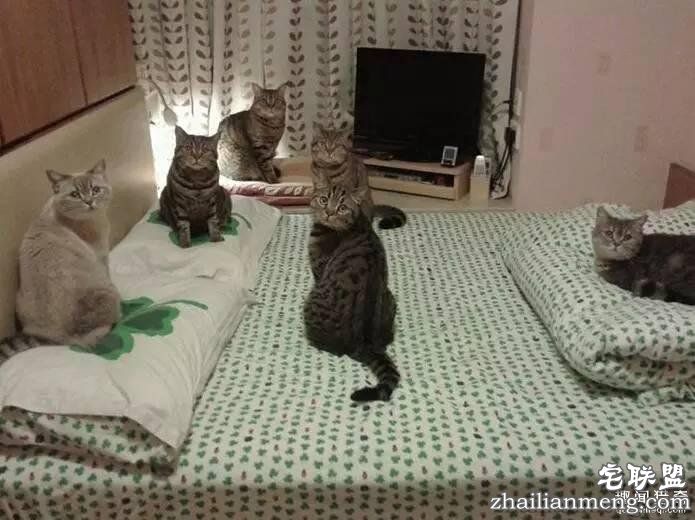 照片神吐槽,看着看着就笑了!