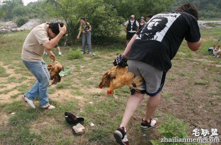 日本高薪招聘“抓鸡员”,只在深夜工作