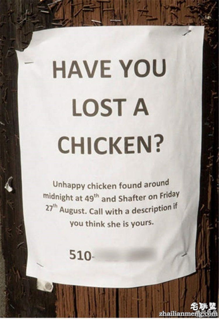 这些外国人太会玩,连找宠物的方式都这么奇特