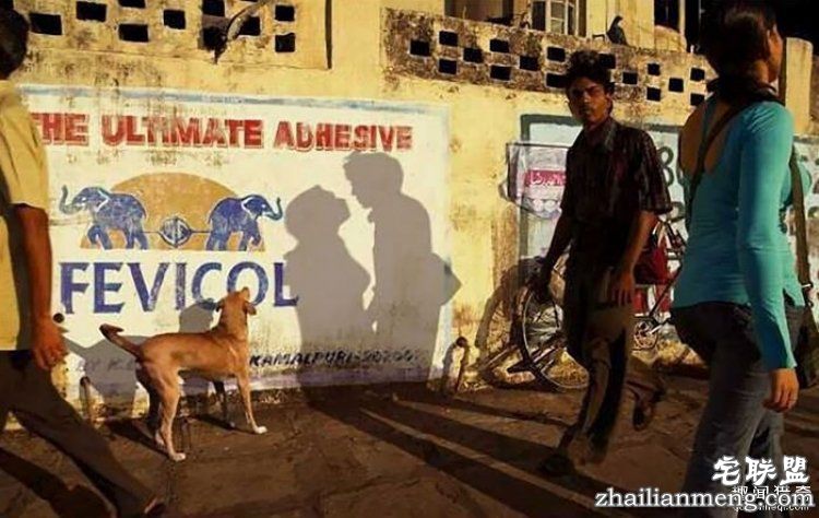 所谓的天时地利人和,说的就是这些照片