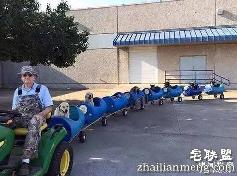 这20张照片, 证明生活还是很美好的!