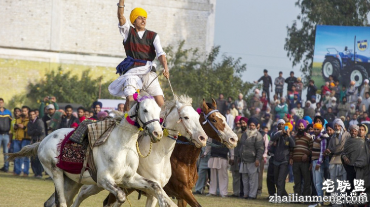 就是想红!所以印度人才拼命开挂自拍晒照