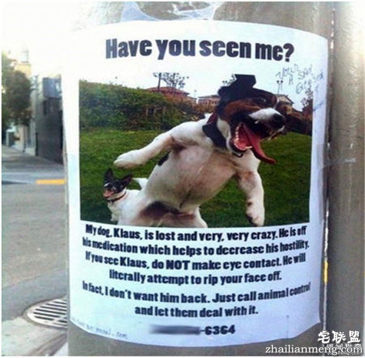 这些外国人太会玩,连找宠物的方式都这么奇特