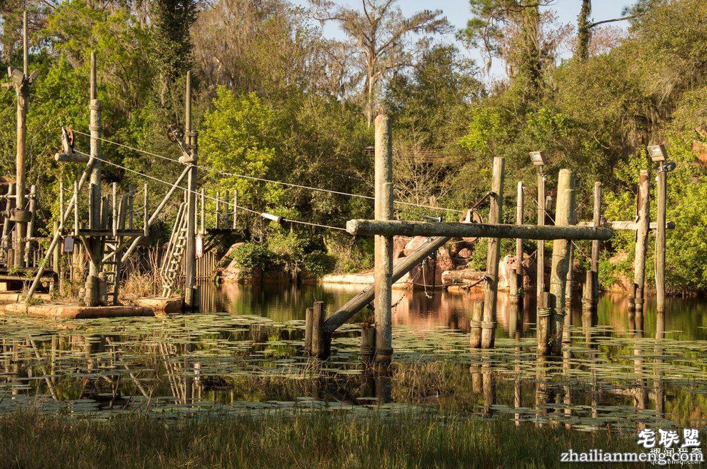 迪士尼水上乐园应该是个很欢乐的地方,但这座已荒废11年的诡异史前丛林园地让人都不敢靠近...