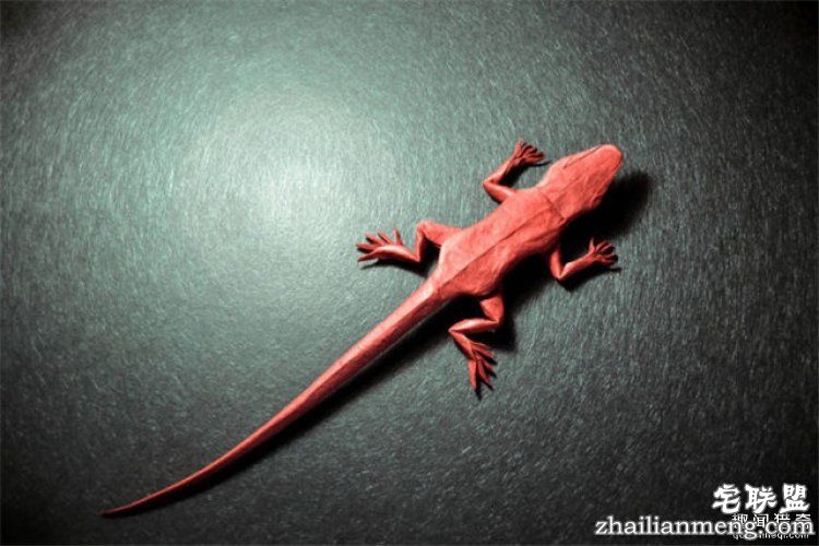 西班牙帅哥音乐家爱折纸,还折出了一个新高度