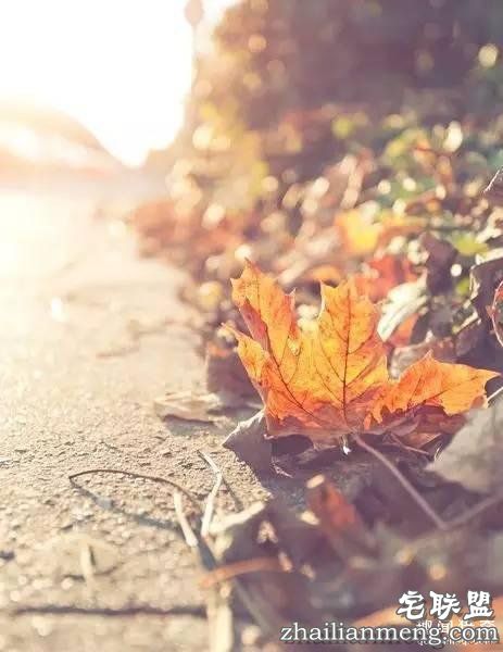 既然赖床这么舒服,为什么我们必须坚持早起?!