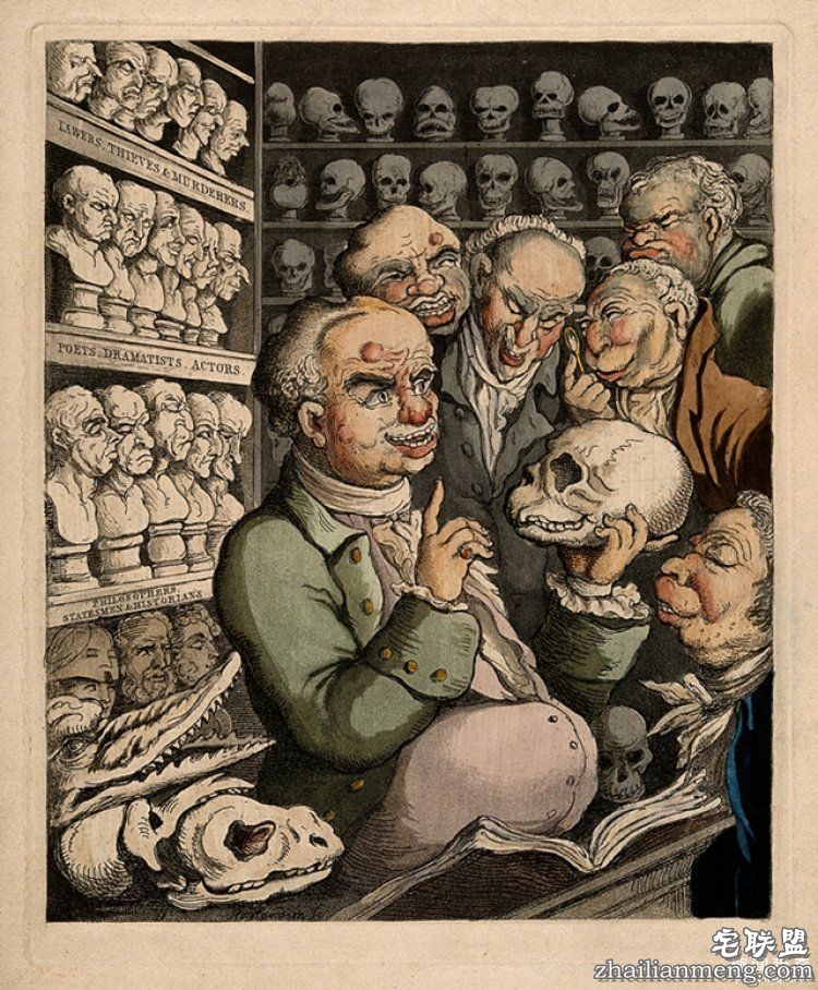 19世纪的女人挑老公要看脑袋的形状