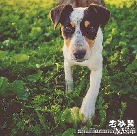 既然赖床这么舒服,为什么我们必须坚持早起?!