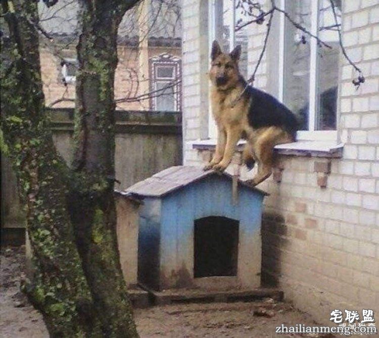 看了这组图才知道,战斗民族的生活日常有多剽悍